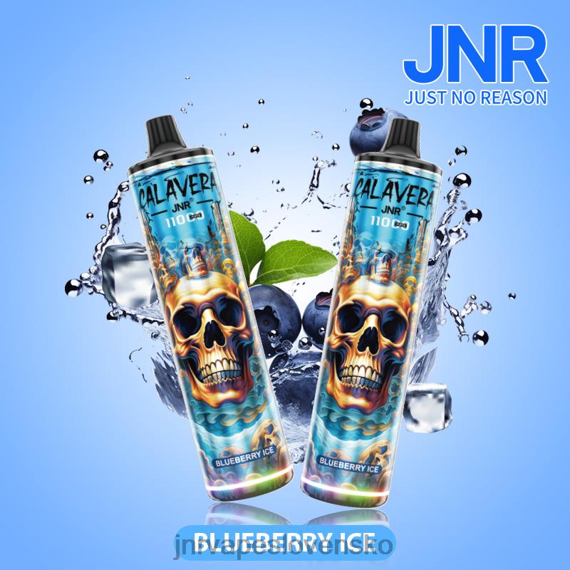 JNR Vape Slovensko - jnr calavera LF20N292 čučoriedkový ľad