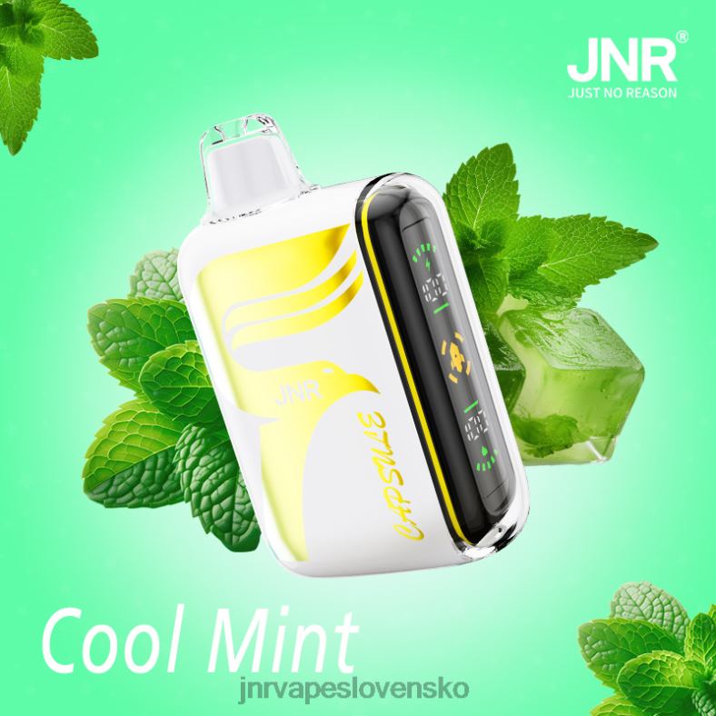 JNR Vape Bratislava - JNR kapsule 4848X62 chladná mäta
