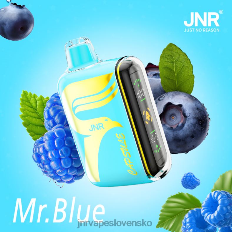 JNR Vape - JNR kapsule 4848X64 pán modrý