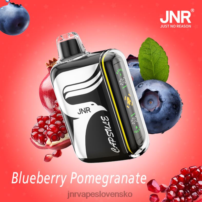 JNR Vape Shop - JNR kapsule 4848X59 čučoriedkovo-granátové jablko