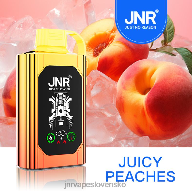 JNR Vape - JNR SHISHA box 4848X84 šťavnaté broskyne