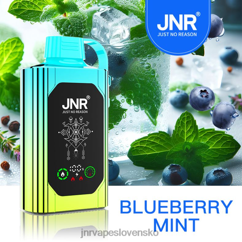JNR Vapes Factory - JNR SHISHA box 4848X88 čučoriedková mäta