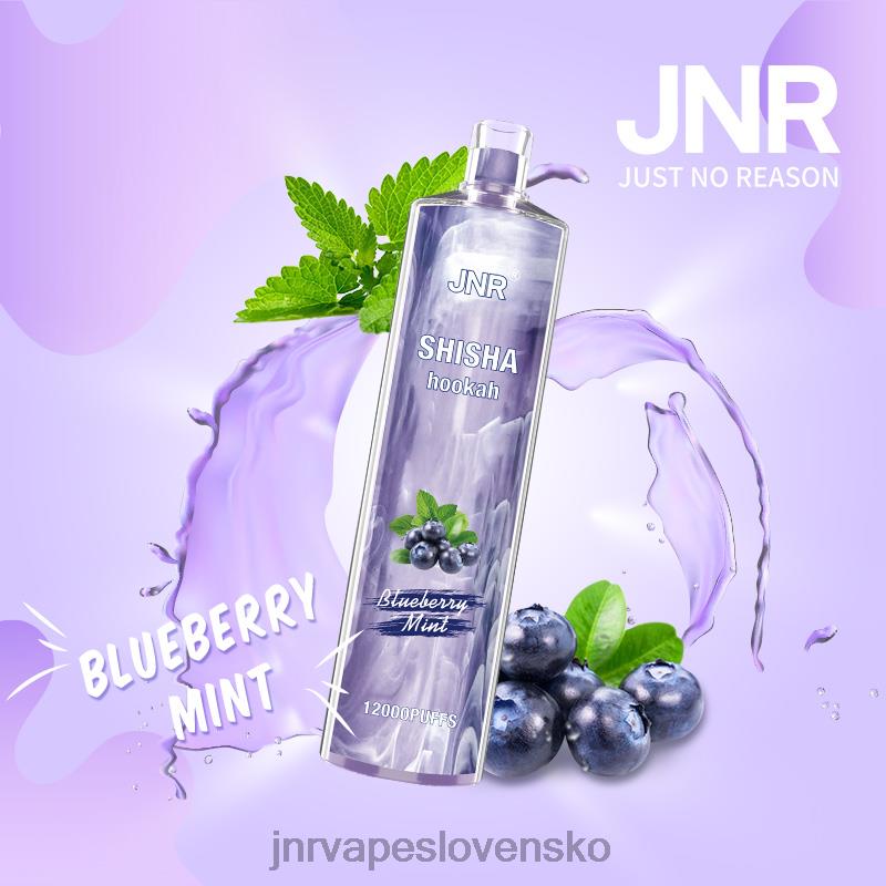 JNR Vape Slovensko - jnr shisha LF20N172 čučoriedková mäta